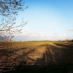 Clare Cronin - @clare_cronin - Instagram