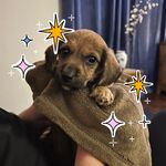 Clare Louise Curran - @clare_louise43 - Instagram