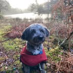 Clare Curtis - Facebook