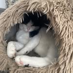 Clare Davison - @littledorrit1 - Instagram