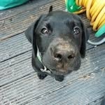 Clare Dowds - @dowdsclare - Instagram