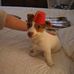 Clare Dowling Bennett - Facebook