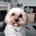 Clare Doyle - Facebook