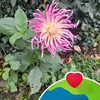 Mary Clare Doyle - @mary.clare.doyle - TikTok
