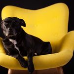 Clare Duffy - @clareduffyphotography - Instagram