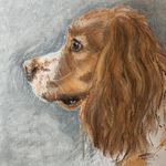 Clare Duffy - @art_clareduffy - Instagram