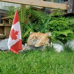 clare duke - @dukeclare - Instagram