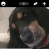 Clare Francis - @clarebear272 - TikTok