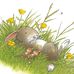 Clare Franks - Facebook
