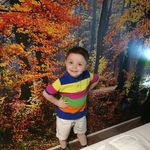 Clare Hamilton - @clare.hamilton.1694 - Instagram