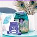 Clare Herbert independent scentsy consultant - Facebook