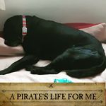 Clare Humphreys - @springwolf3 - Instagram