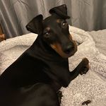 Clare Joyce - @clare_and_claude - Instagram