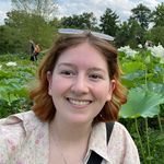 clare joyce - @clarejoyce - Instagram