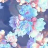user9769557487225 - @clarejoyce9435 - TikTok