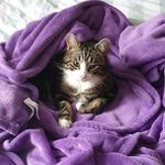 Clare Lawless - @clare.sparkles - Instagram