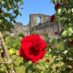 Clare Lawlor - Facebook