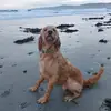 MusicNoteLady - @clarelawlor - TikTok