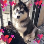 Clare Lloyd - Facebook