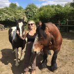 Clare Lloyd - @clare.lloydequine.canine - Instagram