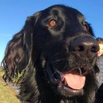 Clare Lloyd - @clarelloyd30 - Instagram