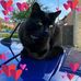 Clare Garratt - Facebook