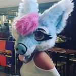 claremagee - @claremagee - Instagram