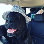 Clare Mason - @lumpyjumpy - Instagram