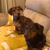 claremichele - @claremichele0 - TikTok