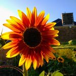 Clare Monaghan - @clare.mon66 - Instagram