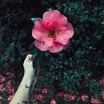 Clare Moore - Facebook
