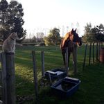 Clare Morton - @morton_clare - Instagram