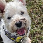 Clare Morton - @clare.morton.77 - Instagram