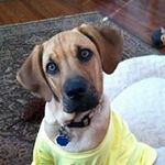 Clare Morton - @clare_morton - Instagram