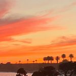 Clare Morton - @clare20204 - Instagram