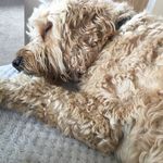 Clare Nicholson - @nicholson_clare - Instagram
