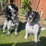 Clare Osborne - @osborne.clare - Instagram