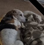 Clare Pearce - Facebook