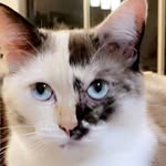 Piper Clare - @piper_clare - Instagram