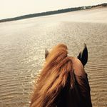 Clare Potter - @mrss_potterr - Instagram