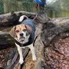 Clare potter - @its.clarepotter - TikTok
