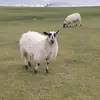 Clare potter - @clare.potter4174 - TikTok
