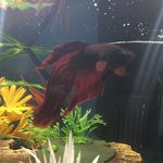 Clare Ritchie bear - @clareritchiebear - Instagram