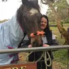 Clare Ryan - @clareryan - TikTok