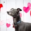 Clare Sargent - @clare.sargent5 - TikTok
