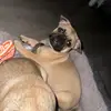 Clare Sargent - @clare.sargent - TikTok