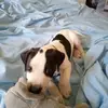 Clare Skinner - @clare.skinner1 - TikTok