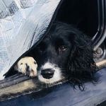 Clare Stephenson - @stephensonclare - Instagram