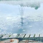 Clare Stephenson - @clare_craig_stephenson - Instagram