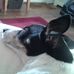 Clare Stonham - Facebook